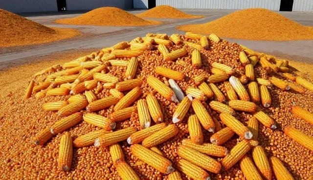 农业技术研发:农产品收购的应用场景分析