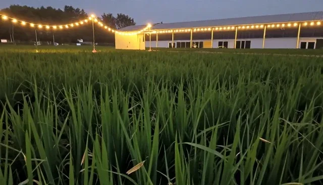 农机推广服务如何适应农产品种植需求