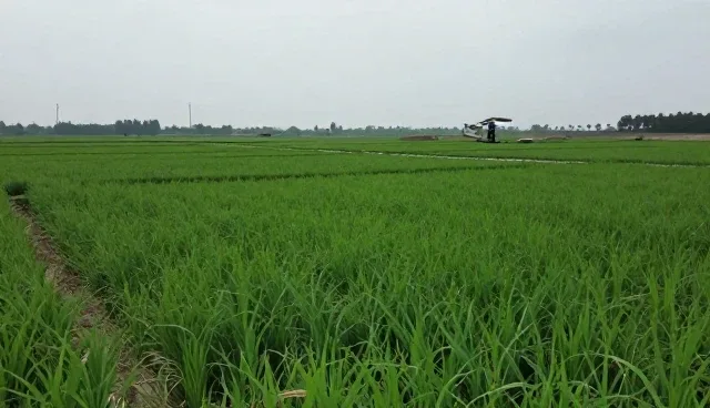 农业技术研发基地合作适用条件及选择依据